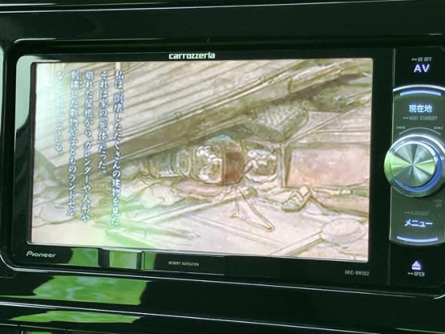 21553317_carP_l_5.jpg