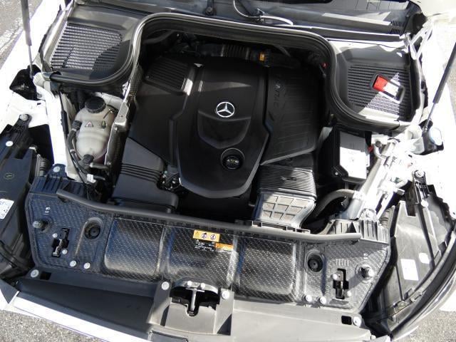 21113672_carP_l_20.jpg