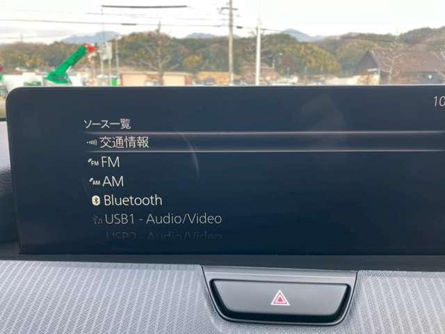 22331554_carP_l_18.jpg