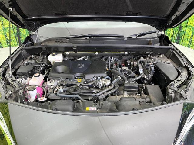 20728562_carP_l_16.jpg