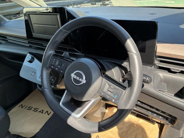 19885944_carP_l_19.jpg