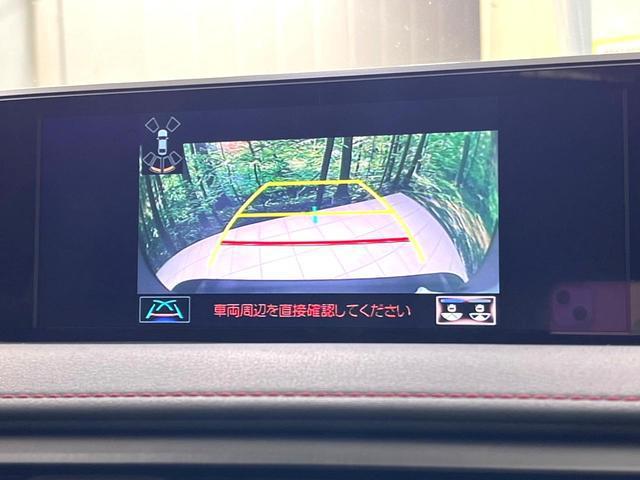 22739127_carP_l_10.jpg