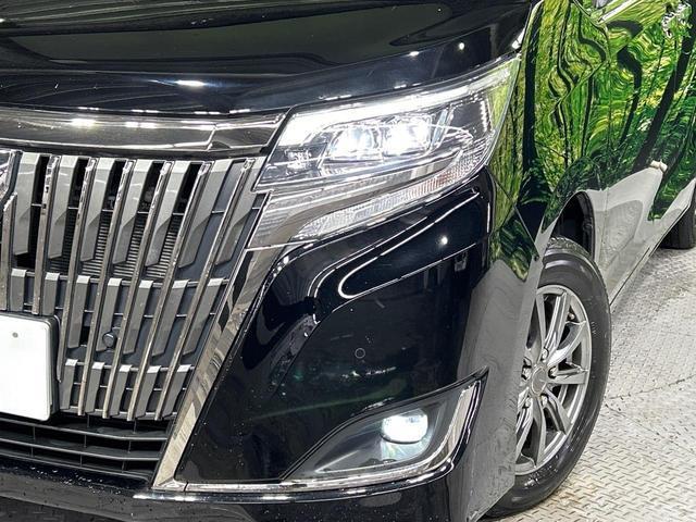 21096738_carP_l_11.jpg