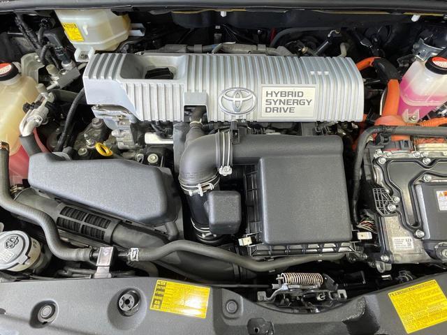 23094524_carP_l_16.jpg