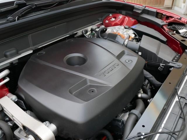 17851576_carP_l_7.jpg