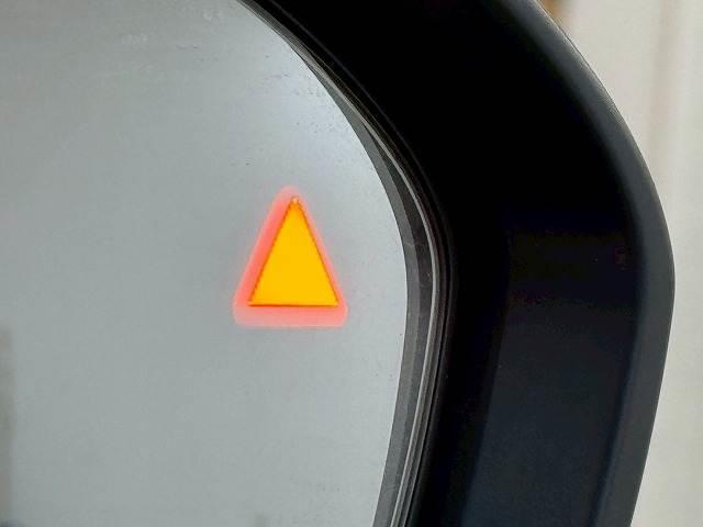 22386496_carP_l_13.jpg