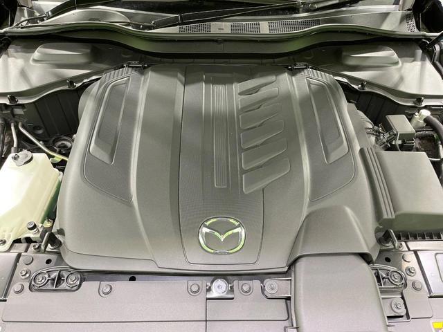 20142344_carP_l_20.jpg