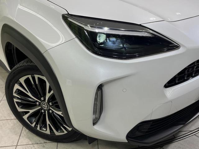 22242512_carP_l_6.jpg