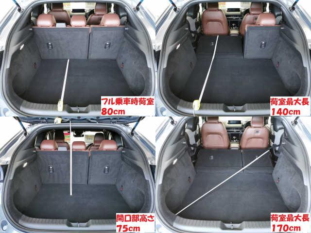 ddf82219f54a2d1ce8ea5f94e385965a.jpg