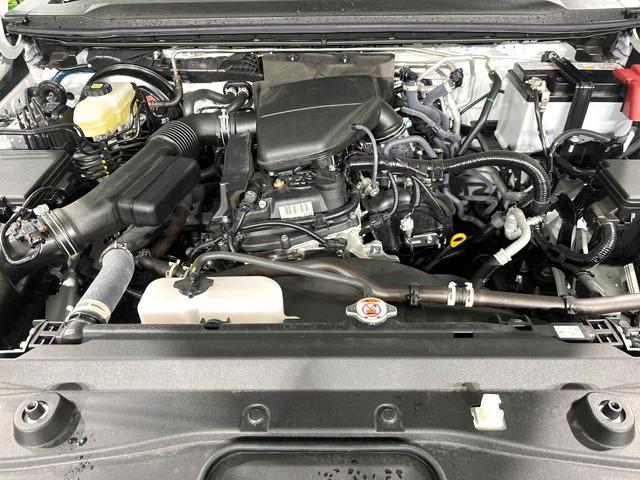 22448352_carP_l_18.jpg