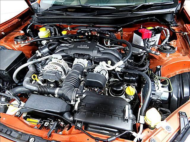 16828017_carP_l_20.jpg