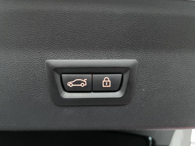 19893839_carP_l_9.jpg