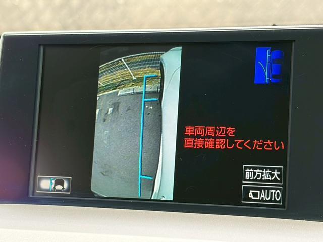 22467078_carP_l_6.jpg