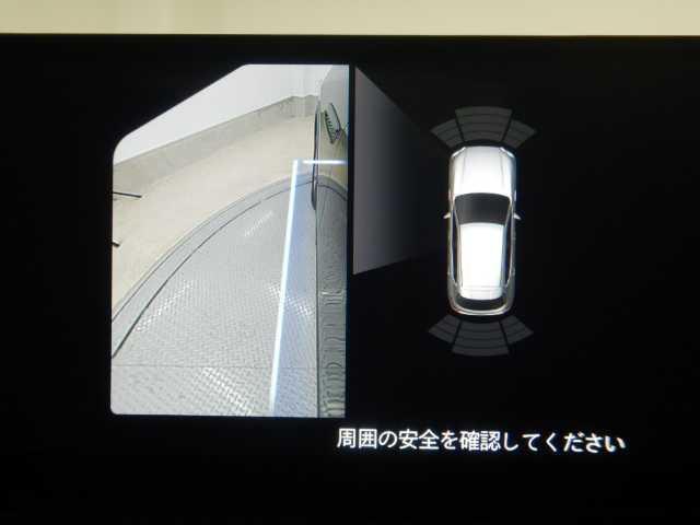 22523331_carP_l_10.jpg