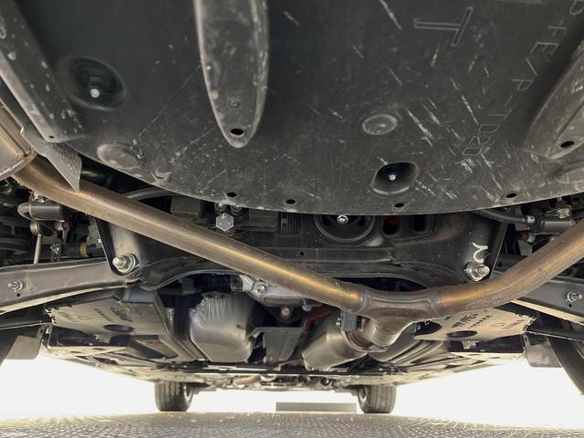 21548408_carP_l_20.jpg