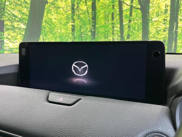 22856430_carP_l_15.jpg