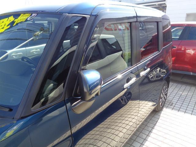 22359334_carP_l_11.jpg
