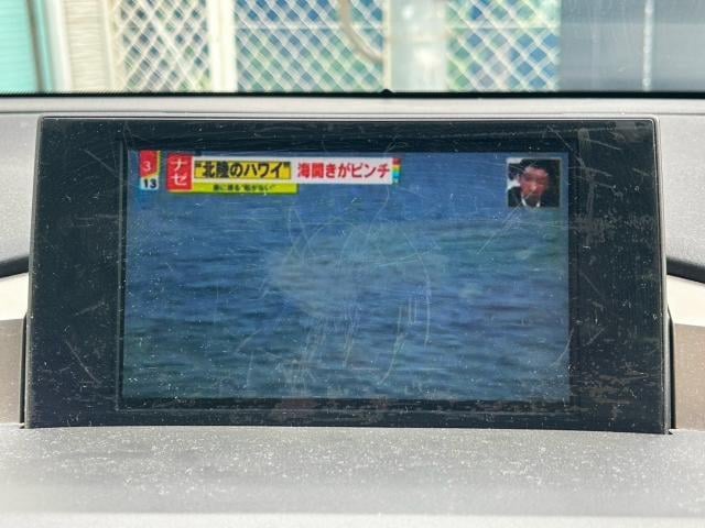 18612784_carP_l_14.jpg