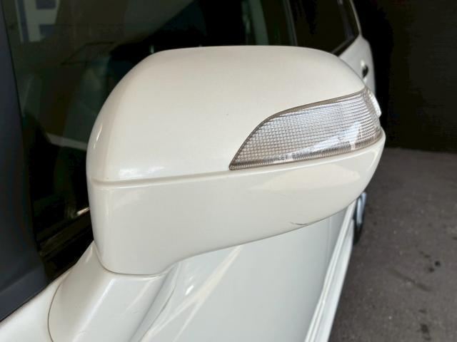 22890229_carP_l_11.jpg