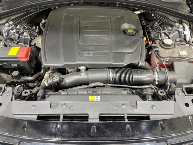 22095712_carP_l_12.jpg