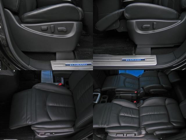 11220357_carP_l_16.jpg