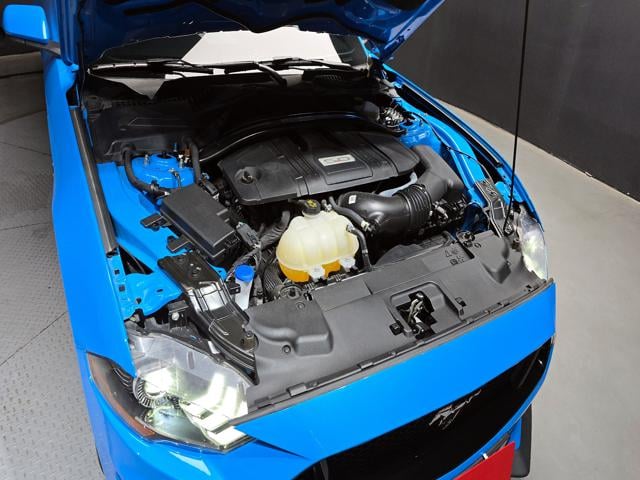 1ce852d067e3d0682a2b9b8ab6564034.jpeg
