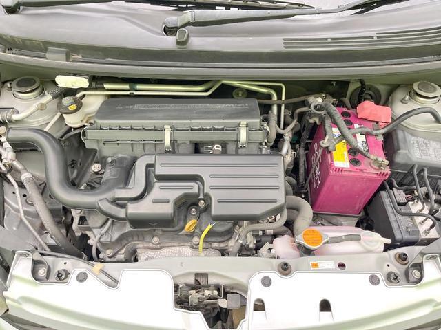 20435334_carP_l_12.jpg