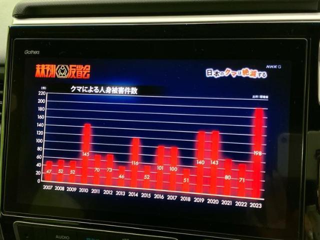 20758734_carP_l_5.jpg