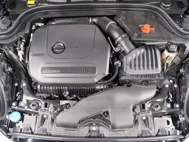 19657011_carP_l_14.jpg