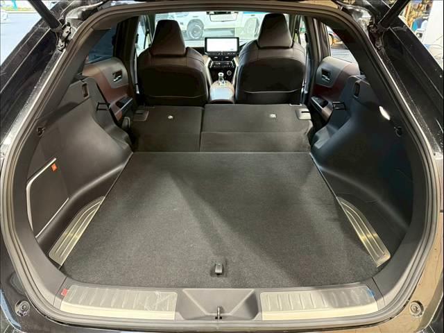 21213501_carP_l_7.jpg
