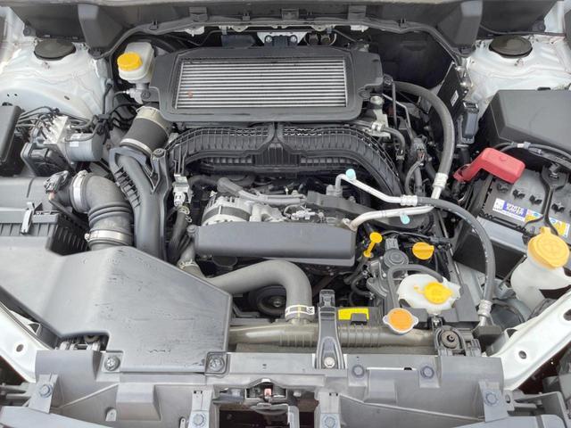 23053666_carP_l_18.jpg