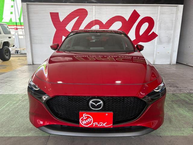 0204562A30260323W00303.jpg