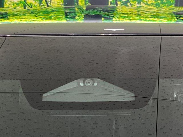 21910115_carP_l_15.jpg