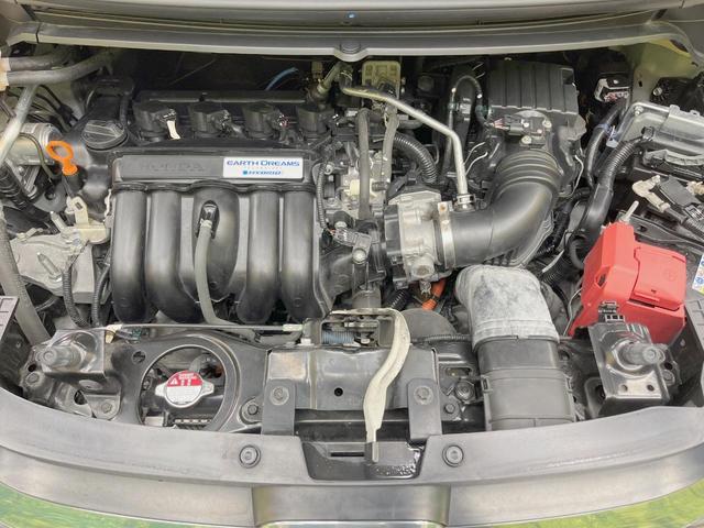 21671982_carP_l_16.jpg