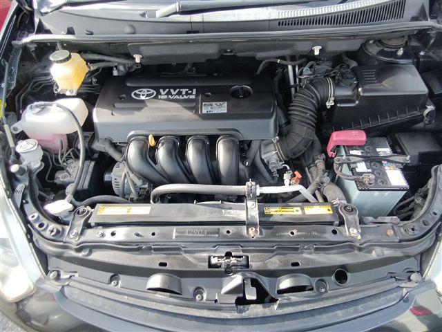 08.jpg