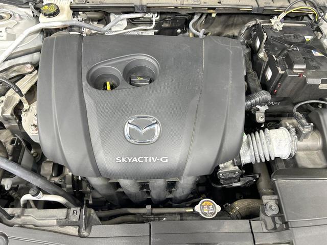 21237020_carP_l_16.jpg