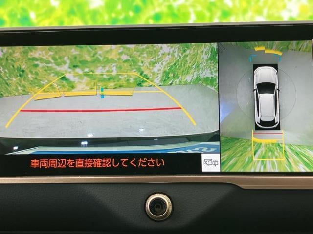 18731292_carP_l_6.jpg