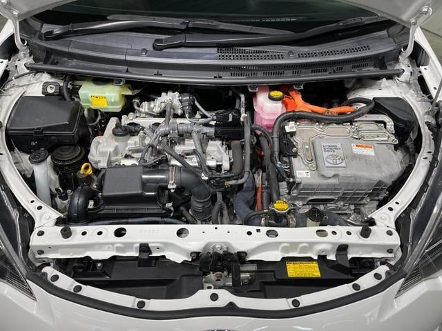 19491232_carP_l_16.jpg