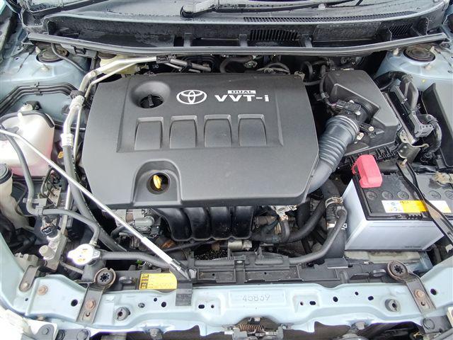 08.jpg
