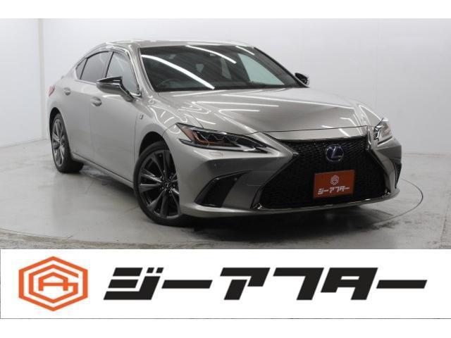 22674822_carP_l_1.jpg