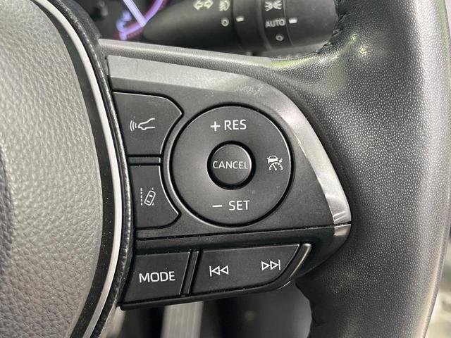 22506429_carP_l_13.jpg