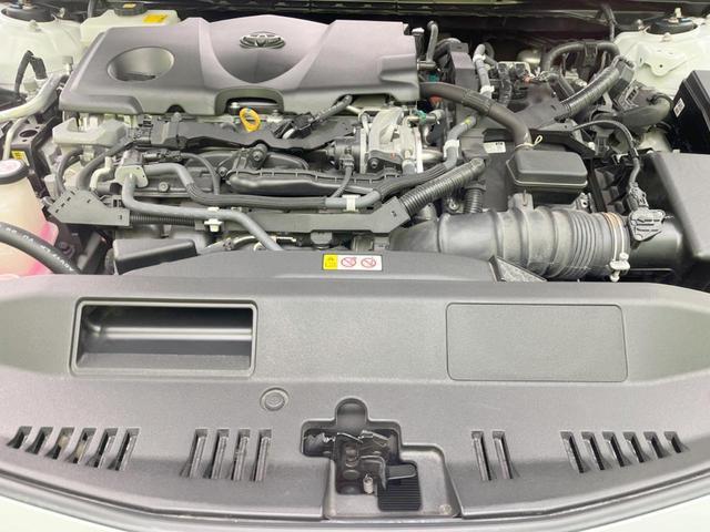 22411336_carP_l_16.jpg
