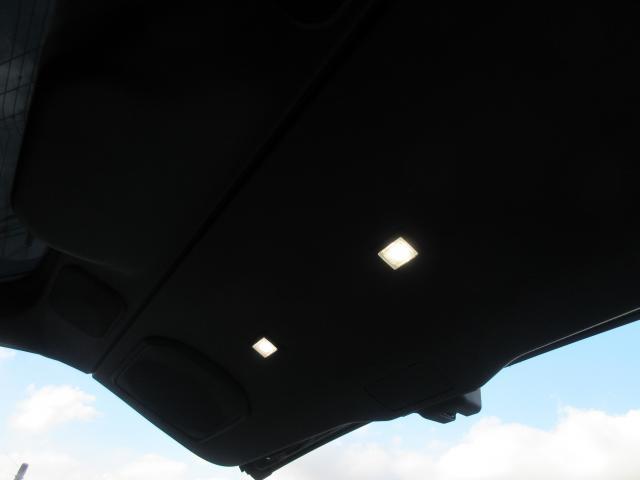 21709169_carP_l_5.jpg