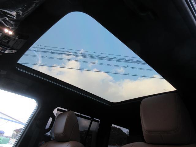 21709169_carP_l_8.jpg