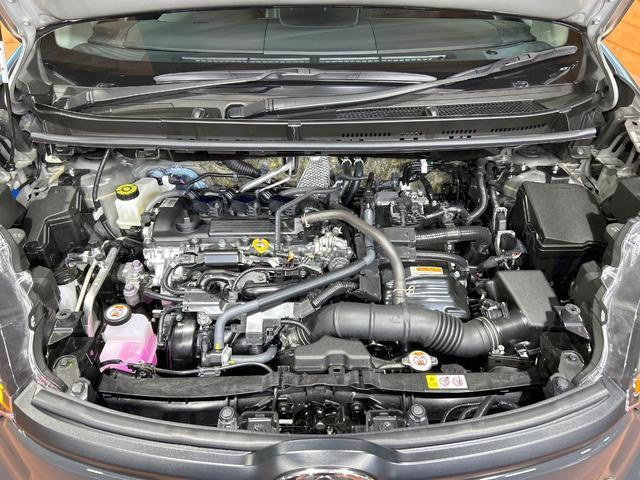 22620871_carP_l_16.jpg