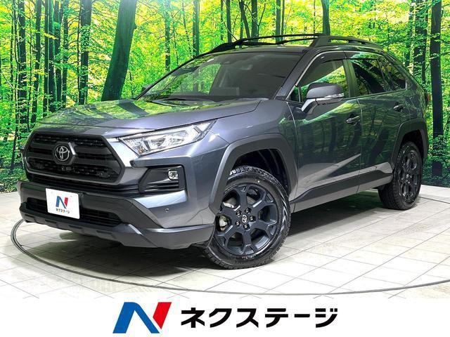 21798723_carP_l_1.jpg