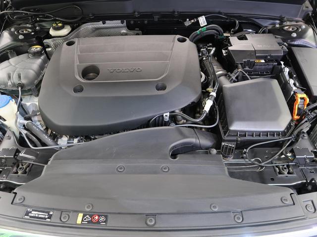 22778830_carP_l_12.jpg