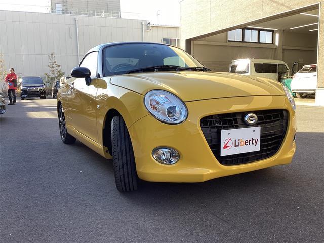 21126329_carP_l_11.jpg