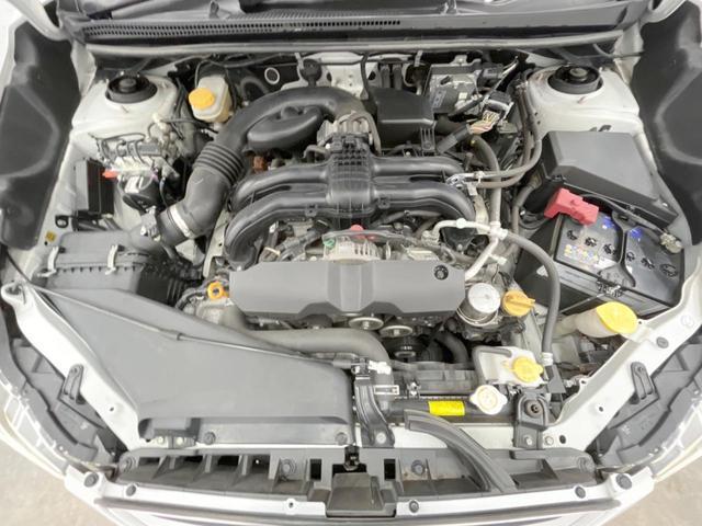 23053732_carP_l_18.jpg