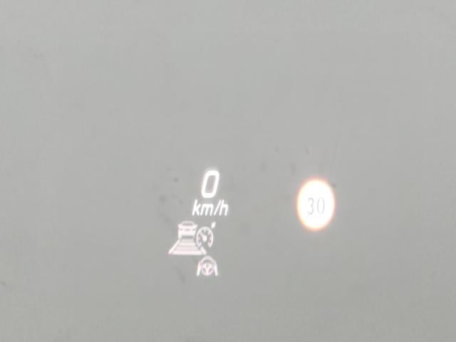 7243e9e7b5634bdb0a42a0c76af1f297.jpeg